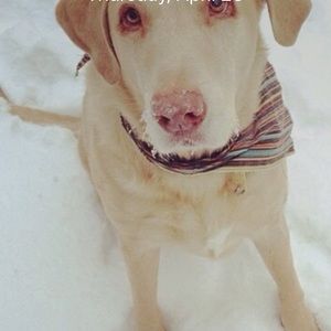 Meet your Posher, Chris